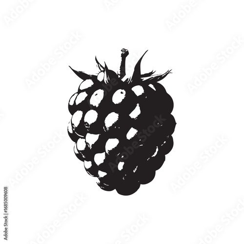 Blackberry Vector (3).eps