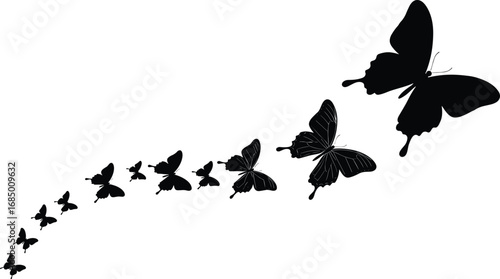 Butterfly silhouettes in flight, black and white vector illustration, ascending motion design, nature transformation concept, elegant curve path,
