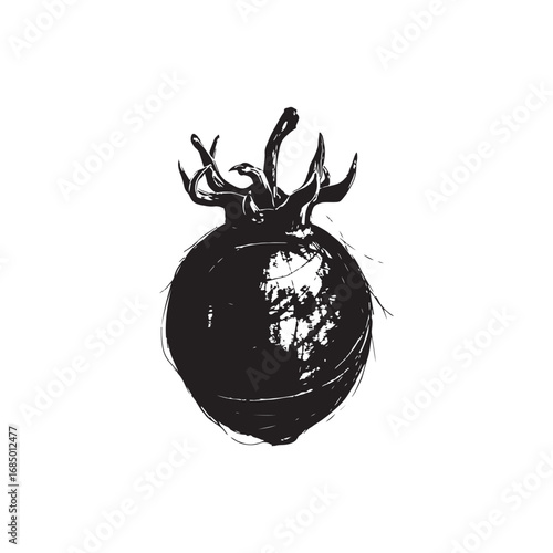 Passion Fruit Vector (2).eps