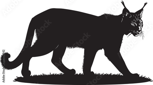Silhouette of a Lynx Walking Through Grass Vector Illustration Wildlife Art Animal Portrait Predatory Feline Nature Graphics Black and White Image