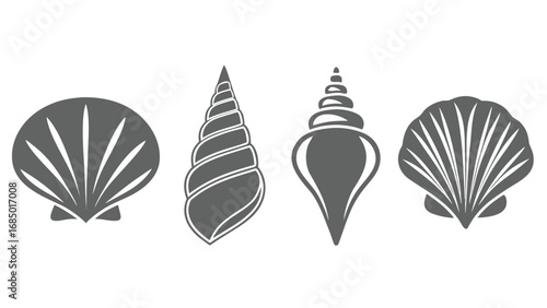 Seashell Collection conch scallop