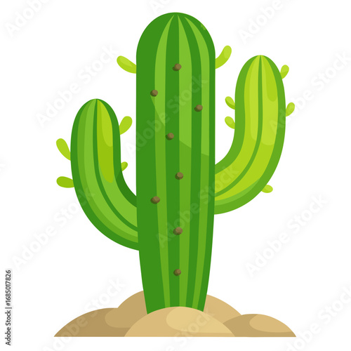 Green cactus vector illustration
