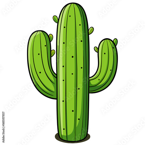 Vector cartoon cactus illustration