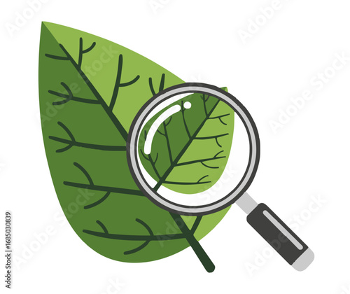 Magnifying glass reveals intricate details of a vibrant green leaf showcasing nature's complex biology and growth