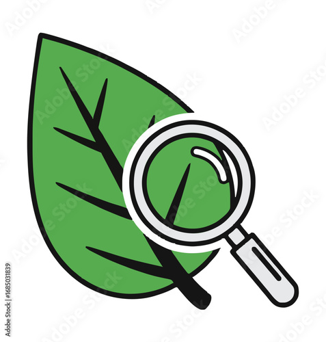 A magnifying glass closely examines a single green leaf for detailed botanical research, scientific discovery, and environmental analysis of nature