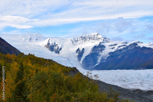 Golden leaves shining under mountain peaks