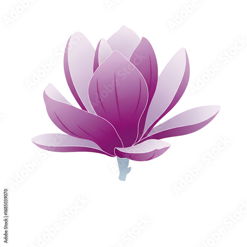 Elegant Purple Magnolia Flower Blossom CloseUp Illustration for Floral Design and Botanical Art
