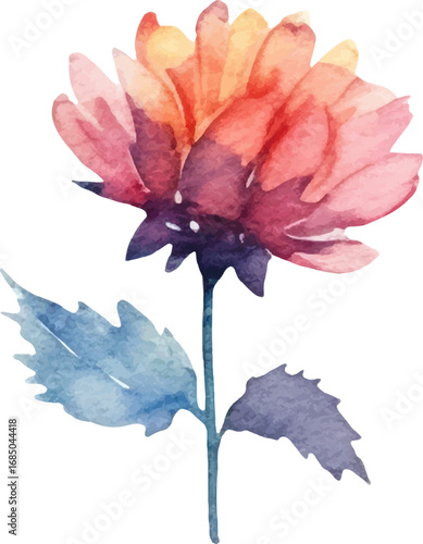 Watercolor painted dahlia flower. Hand drawn design element isolated on white background.