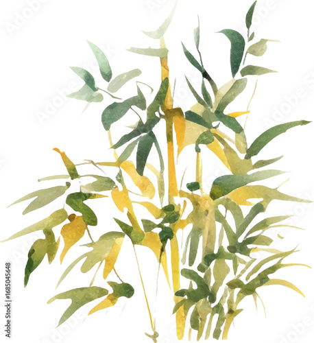 Vector watercolor painted bamboo. Hand drawn flower design elements isolated on white background.