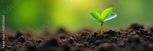 Close-up of a tiny sprout pushing through the earth, symbolizing the delicate beginnings of life and the power of growth and adaptation in nature's slow, incremental process , micro, potential