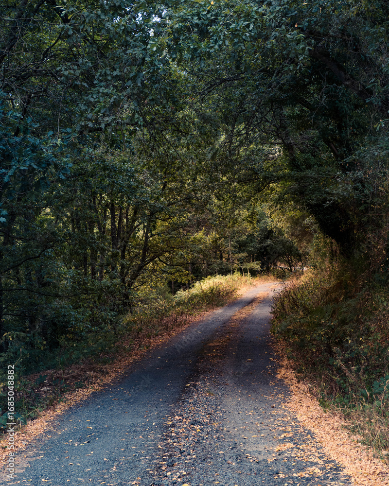 Fototapeta premium Trail that is part of the Primitive Way to Santiago