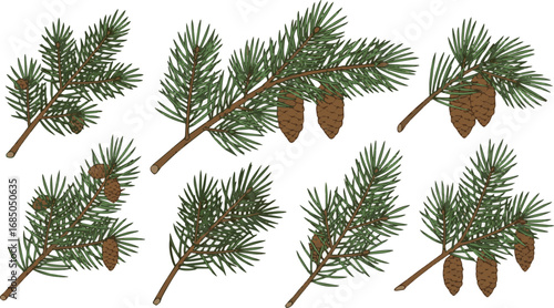 Create a kinds of deferent Fir branch frame, Christmas tree background, pine border vector art with white background.