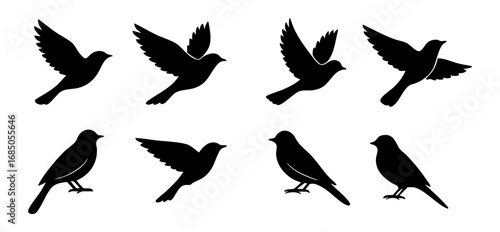Bird silhouette shapes, isolated background. Flying birds and perched bird graphic vector design