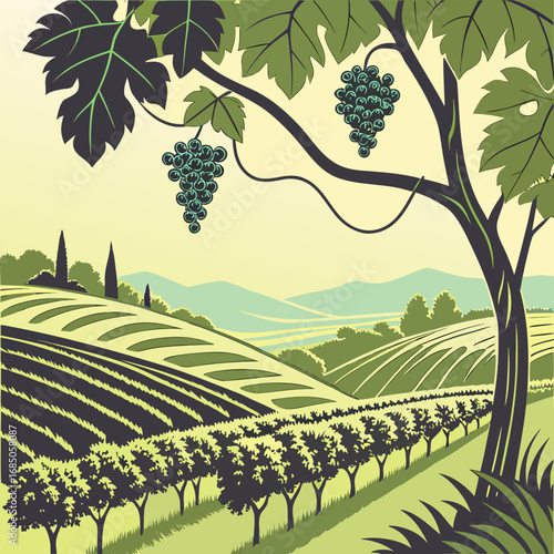 Stylized illustration of a tuscan vineyard with rolling hills and ripening grapes on a vine