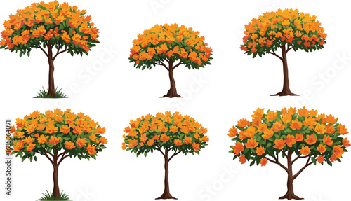 Autumn trees illustration, orange foliage vector, yellow leaves artwork, seasonal nature design, fall landscape clipart, botanical drawing, deciduous forest graphic, decorative plant silhouette set