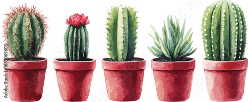 A collection of five potted succulents and cacti in red pots against a white background