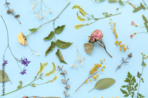 Dried flowers on blue backg...