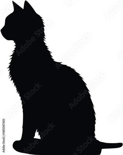 A silhouette of a fluffy cat is seated in profile, looking to the left. The fur along its back and tail is visibly textured and ruffled, distinguishing it from a short-haired cat. 