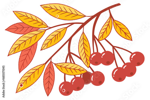Stylized rowan branch displays fall foliage transitioning from yellow to red with clustered berries