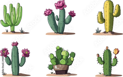 Collection of six diverse desert cacti with blooming pink flowers on sandy ground
