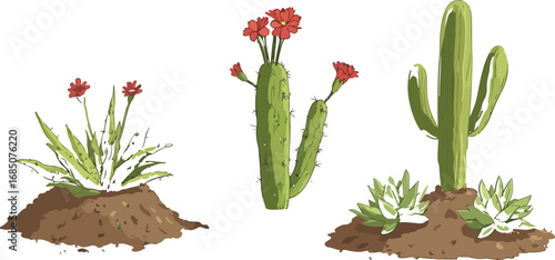 Three diverse desert plants including a saguaro cactus and flowering succulents on white background