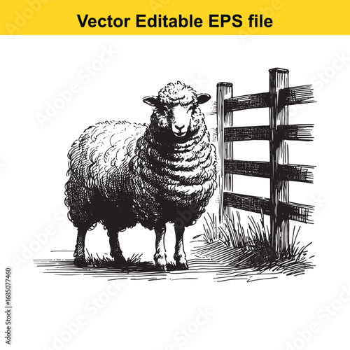 A detailed sketch of a sheep standing next to a wooden fence