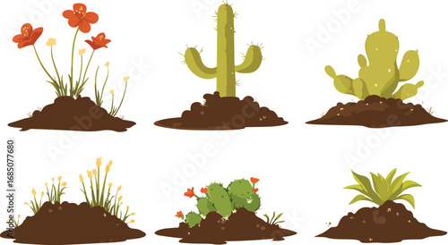 Collection of six different potted desert plants and flowers growing in soil mounds
