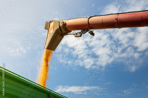 Modern harvester loading off wheat on tractor trailers.