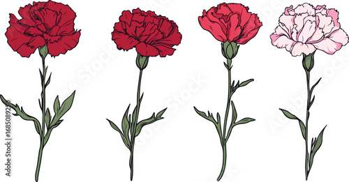 Four delicate carnation flowers in red and pink hues with detailed green stems and leaves