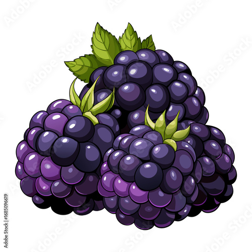 Balckberry. Healthy mixed fruit and ingredients from top view. Fresh Blackberries Close Up. Bowl of wild blackberries from the Oregon coast fruit BlackBerry.