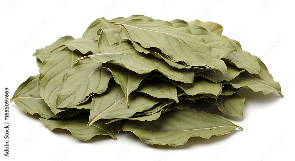 Fototapeta premium Vibrant Collection of Dried Herbs, Leaves and Flowers for Herbal Medicine and Tea