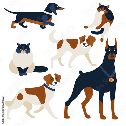 set of dogs and cats drawn in a flat style. popular pets isolated on a white background. stock vector illustration. EPS 10.