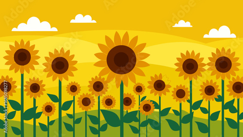 Endless Sunflower Field Vector Illustration