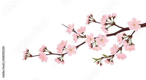 Delicate pink cherry blossoms adorning a twig against a white background with subtle green leaves