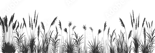 Meadow and lake with cattail, reed, tall wetland plant vector illustration.