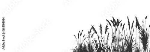 Grass and reed vector silhouette with cattail bulrush in wetland meadow illustration.