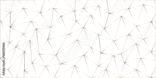 Composition based on Plexus. Use different methods of overlaying (mixing).Abstract technology background with connection lines and dots. Network connection structure's-fi network shape.	
