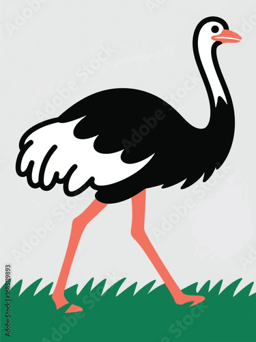 ostrich Illustrator Artwork Design Template Poster
