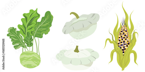 Vegetable Set, Assorted Vegetable Collection, Garden Harvest Set