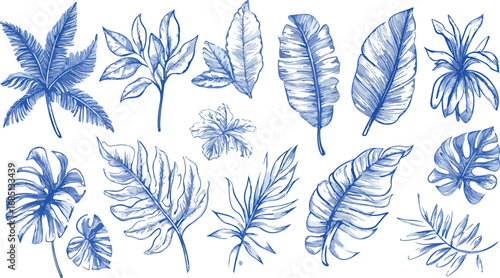Collection of elegant blue watercolor tropical leaves and palm fronds on a white background