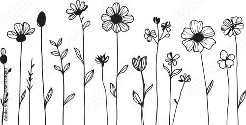 Delicate hand drawn wildflowers in black and white sketch style on white background