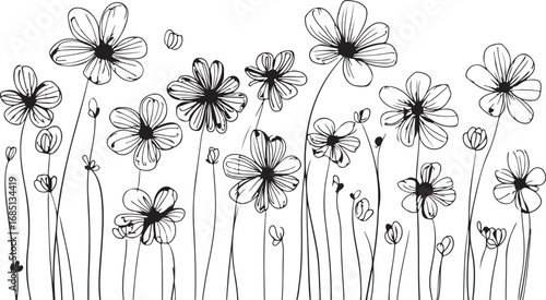 Delicate hand drawn black ink wildflowers with thin stems on a white background