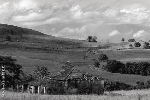 rural landscape