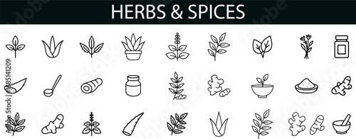 Herbs and Spices Icon Set for Culinary, Wellness, and Food UI Design