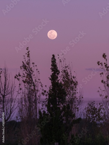 moon and clouds