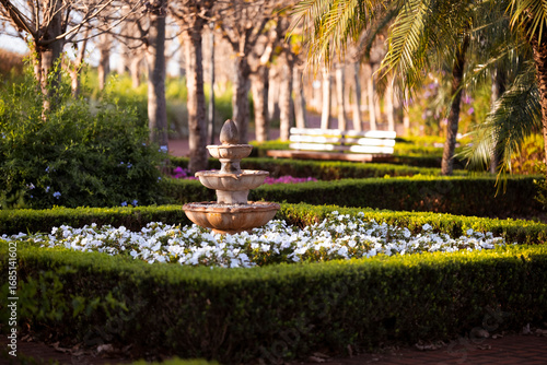 fountain in the park