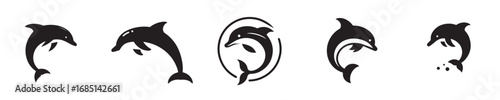 Dolphin silhouette. Vector, illustration, icon set