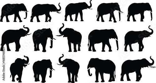 Black silhouette illustration of multiple elephants in different walking and standing poses, showcasing wildlife, nature, and majestic animal behavior.