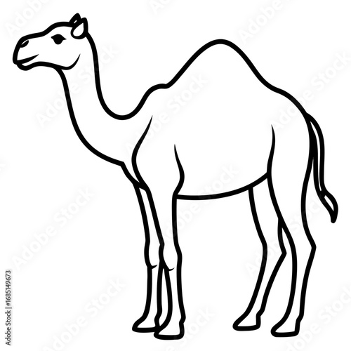 Camel Outline Vector Art