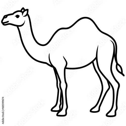 Camel Outline Vector Art